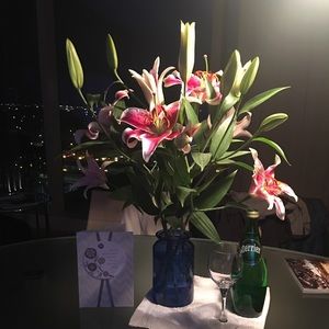 Meet your Posher, Susan heidi